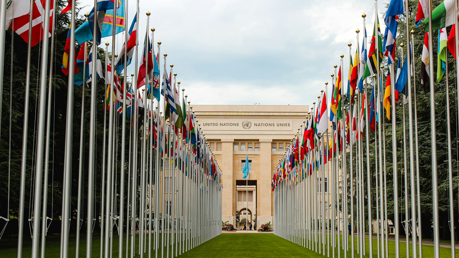 A row of national flags on a lawn in front of a large building