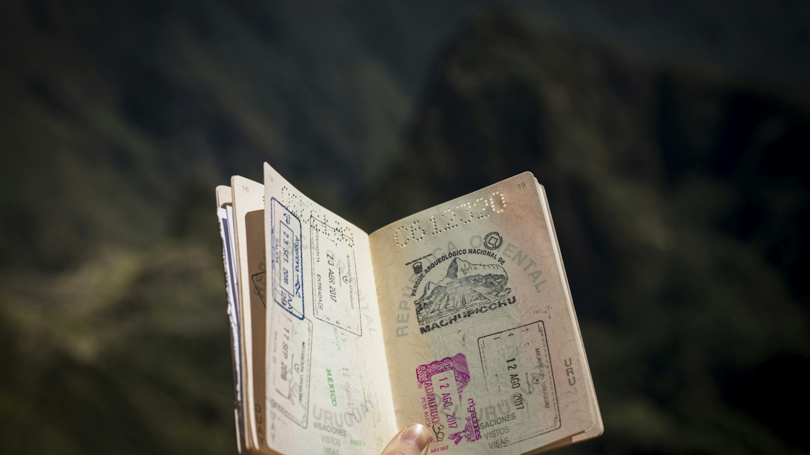 A person holding a passport