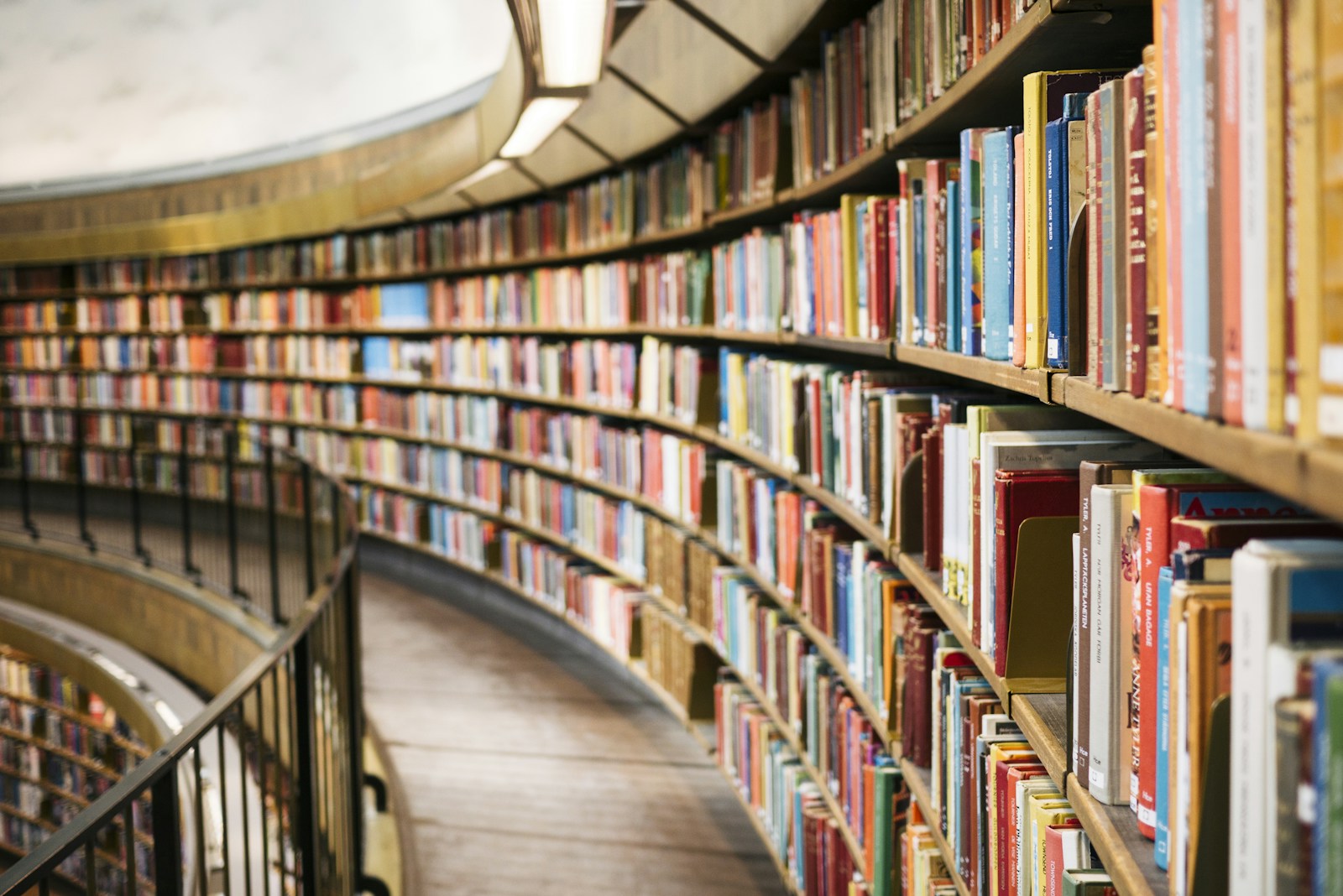 Curving wooden shelves filled with books beside a library walkway.