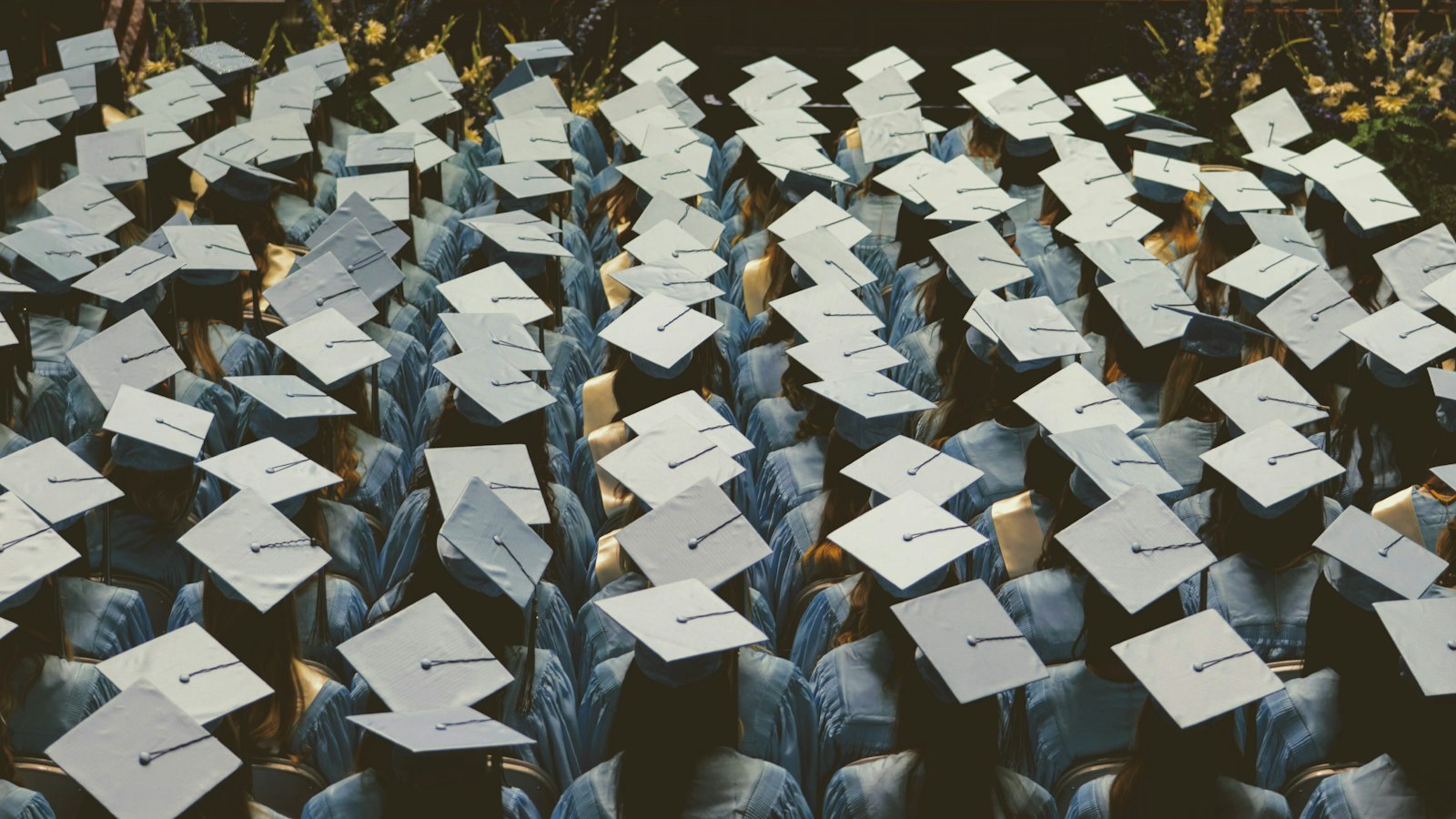 A large group of graduates in light blue gowns and caps at a ceremony