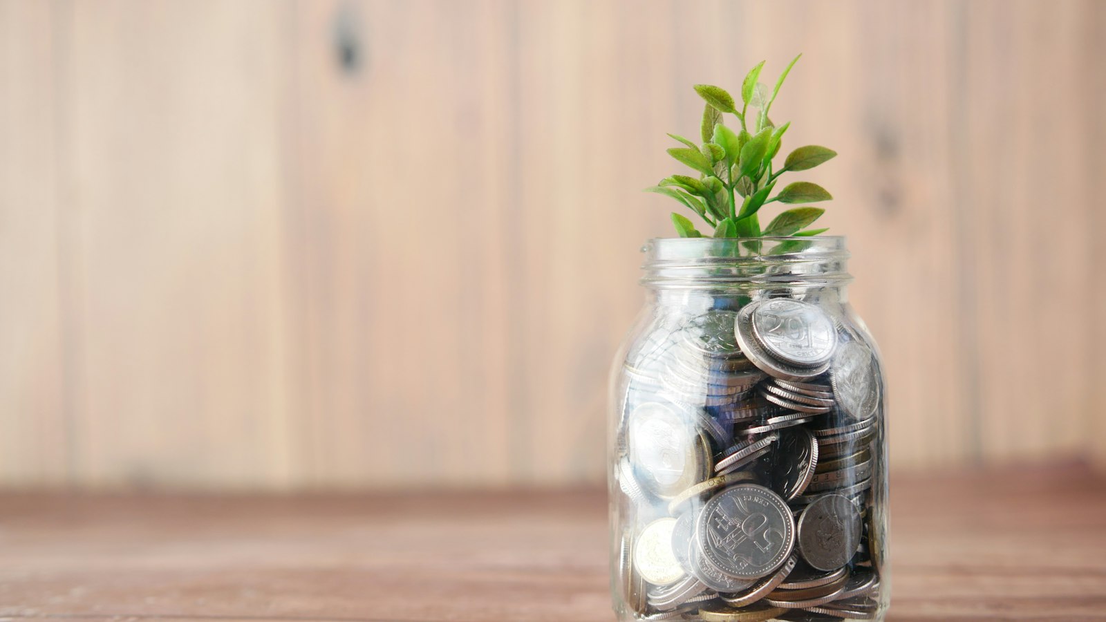 A glass jar of coins with a small plant growing